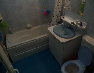 Appartement 2 chambres à vendre dans Cluj-napoca