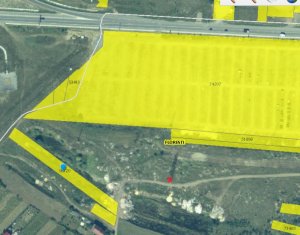 , 2900m2 on Luna De Sus