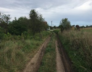 Ház 3 szobák kiadó on Vlaha