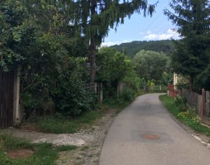 Ház 3 szobák kiadó on Vlaha