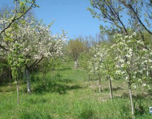 Maison 6 chambres à vendre dans Turda