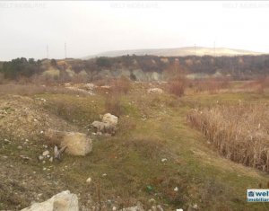 , 2600m2 dans Cluj-napoca