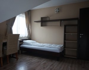 Ház 5 szobák kiadó on Cluj-napoca