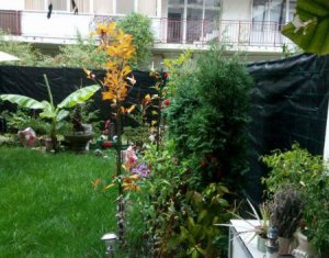 Lakás 2 szobák kiadó on Cluj-napoca