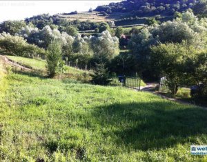 Maison 4 chambres à vendre dans Cluj-napoca