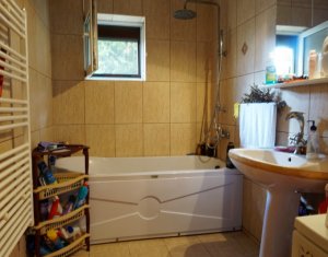 Appartement 2 chambres à louer dans Cluj-napoca