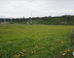 , 475m2 dans Cluj-napoca