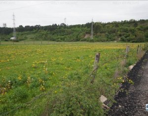 Terrain à vendre dans Cluj-napoca