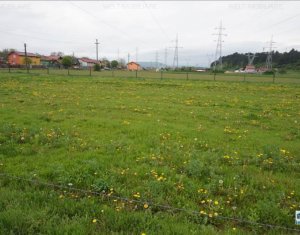 Terrain à vendre dans Cluj-napoca