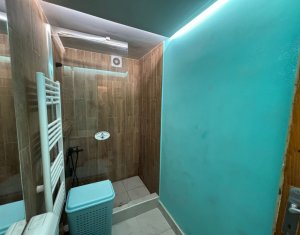 Appartement 2 chambres à louer dans Cluj-napoca