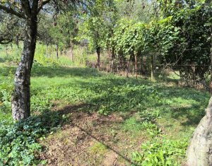 Ház 3 szobák eladó on Tauti