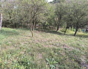 Ház 3 szobák eladó on Tauti