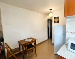 Appartement 1 chambres à vendre dans Cluj-napoca, zone Centru