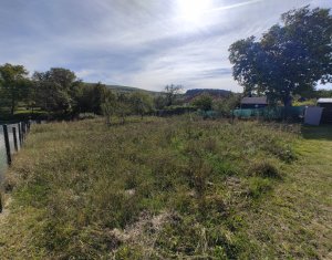 , 1000m2 dans Corusu