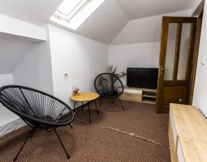 Maison 10 chambres à vendre dans Baisoara
