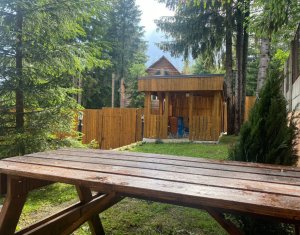 Maison 10 chambres à vendre dans Baisoara