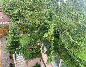 Maison 10 chambres à vendre dans Baisoara