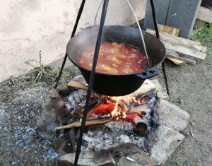 Maison 10 chambres à vendre dans Baisoara