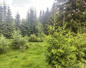 Maison 10 chambres à vendre dans Baisoara