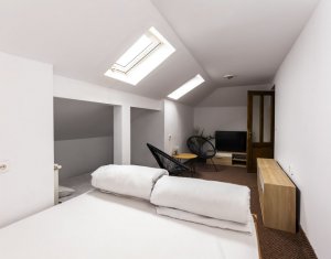 Maison 10 chambres à vendre dans Baisoara