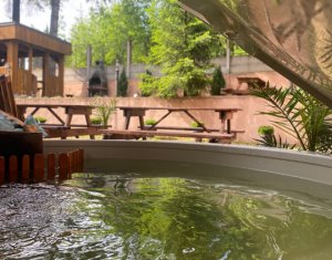 Maison 10 chambres à vendre dans Baisoara