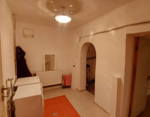 Maison 5 chambres à louer dans Cluj-napoca, zone Europa