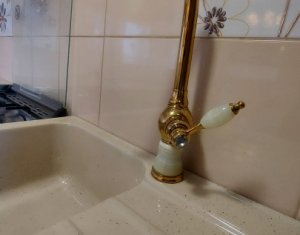 Maison 5 chambres à louer dans Cluj-napoca, zone Europa