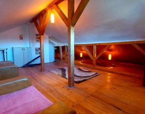 Maison 5 chambres à louer dans Cluj-napoca, zone Europa