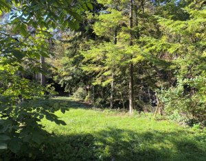 House 3 rooms for sale in Cluj-napoca, zone Grigorescu