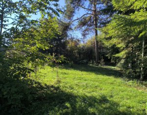 House 3 rooms for sale in Cluj-napoca, zone Grigorescu