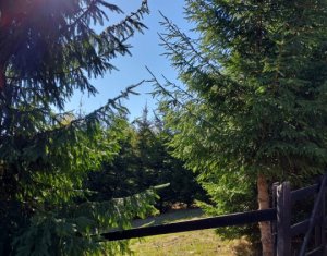 Telek eladó on Muntele Baisorii