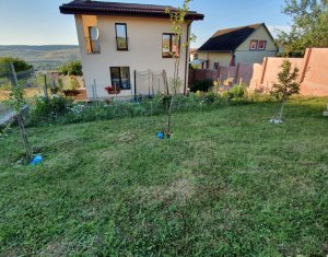 Ház 4 szobák kiadó on Floresti