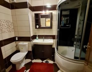 Appartement 2 chambres à louer dans Cluj-napoca, zone Marasti