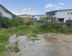 , 460m2 on Luna De Sus