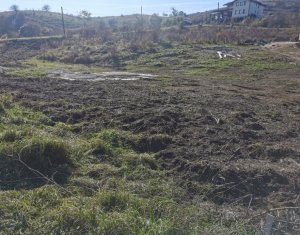 Terrain à vendre dans Cluj-napoca, zone Faget