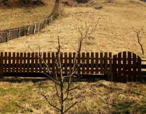 Maison 2 chambres à vendre dans Maguri-racatau