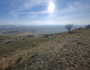 Land for sale in Cluj-napoca, zone Iris