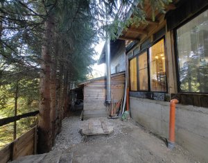 Ház 4 szobák eladó on Belis