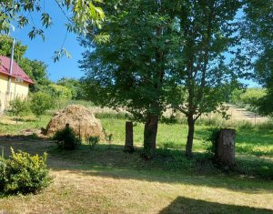 Telek eladó on Martinesti