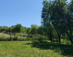 Telek eladó on Martinesti