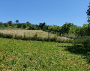 Telek eladó on Martinesti