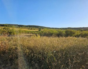 Telek eladó on Chinteni