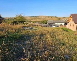 Telek eladó on Chinteni