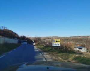 Ocazie!Teren intravilan in comuna Ciurila sat Saliste, priveliste