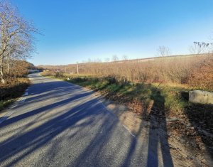 Ocazie!Teren intravilan in comuna Ciurila sat Saliste, priveliste