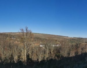 Ocazie!Teren intravilan in comuna Ciurila sat Saliste, priveliste