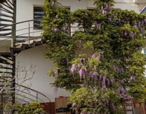 House 9 rooms for sale in Cluj-napoca, zone Zorilor