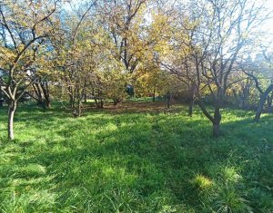 Ház 4 szobák eladó on Cluj-napoca, Zóna Dambul Rotund