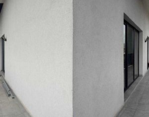 Appartement 4 chambres à louer dans Cluj-napoca, zone Iris