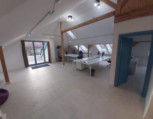 House 12 rooms for rent in Cluj-napoca, zone Andrei Muresanu